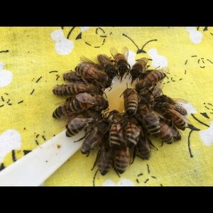 Meet your Posher, Michele